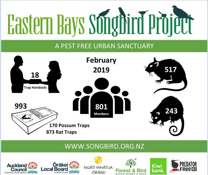 The Eastern Songbird Project Graphic (1)