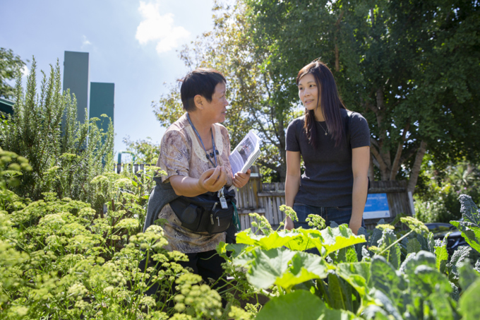 Community Action at Epsom Community Centre