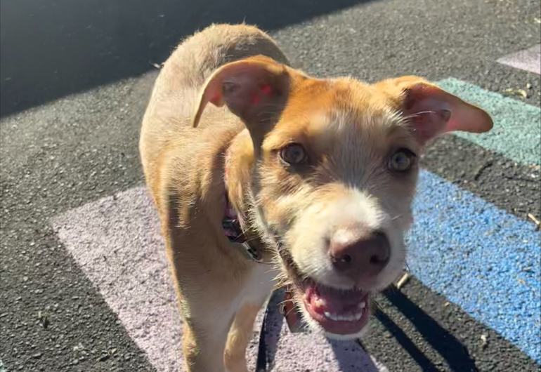 Processed 13CC8177 6CE5 44ED 9E0F 00C964F8AD8D