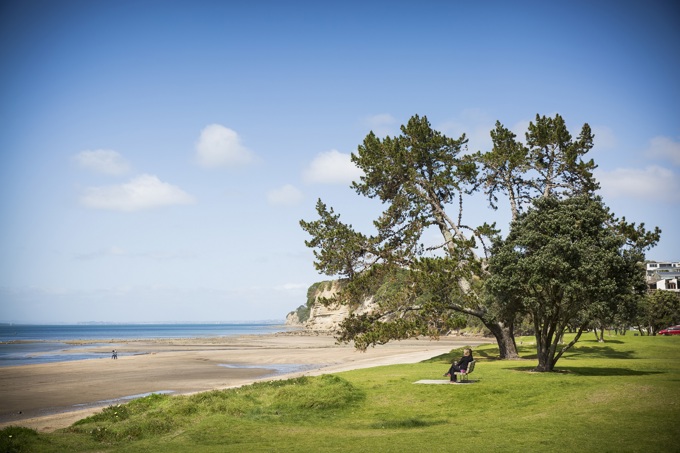 Temporary public health warning issued at Browns Bay (2)