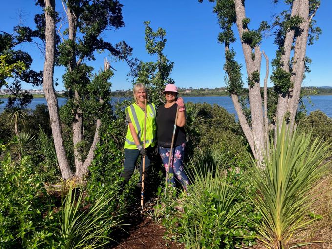 5 Actions for Nature in Upper Harbour