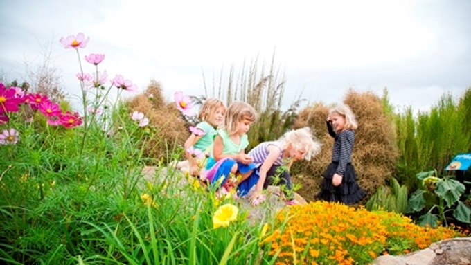 Spotlight on our local board neighbourhoods 2