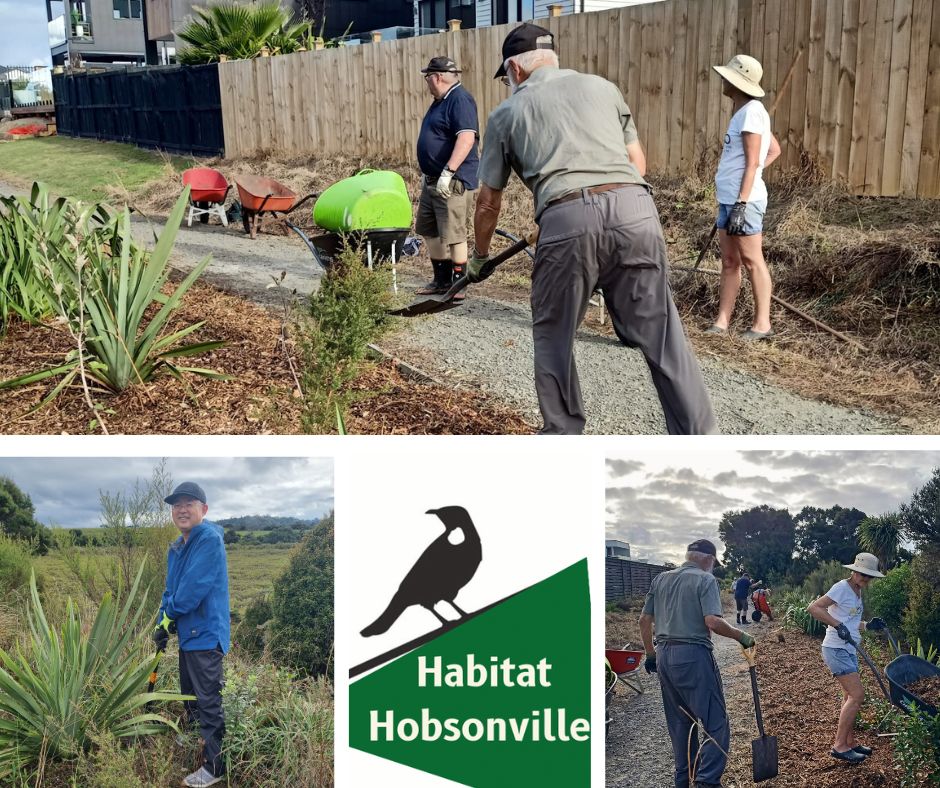 Mulching and weeding day OurAuckland