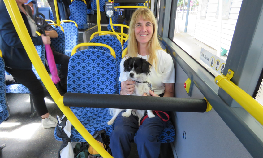 Councillor Cathy Casey and her dog Suzie