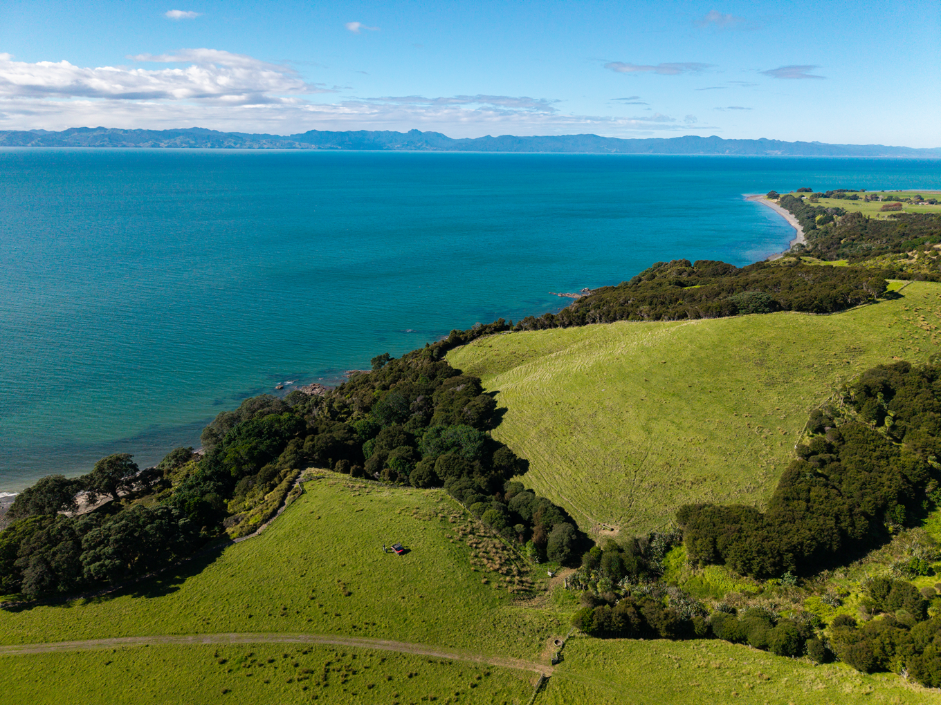 A hill side area overlooking the ocean. 