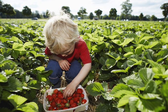 Al fresco in Auckland - Dining out this summer (1)