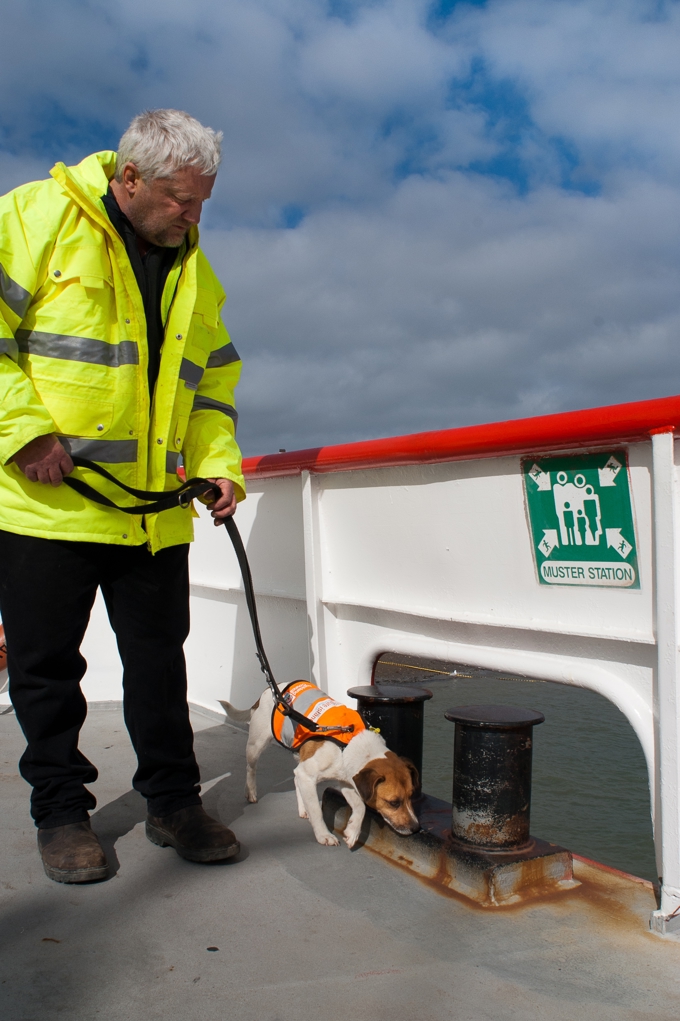 Dog Mission Brian-Shields_WEM__20110808-6276.JPG