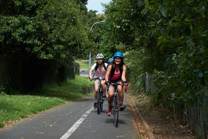 Surge in bike rides in 2017