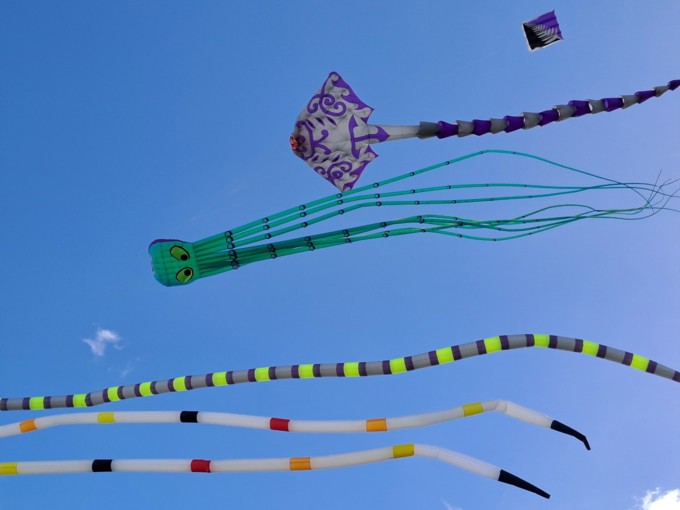 Puketāpapa Manu Aute Kite Day
