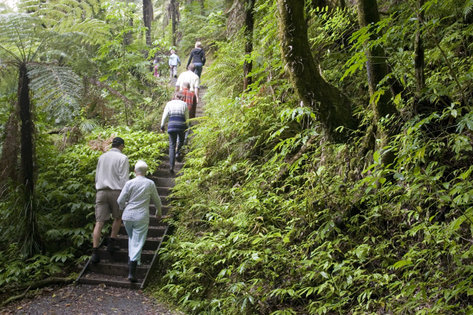 Hunua Ranges Regional Park