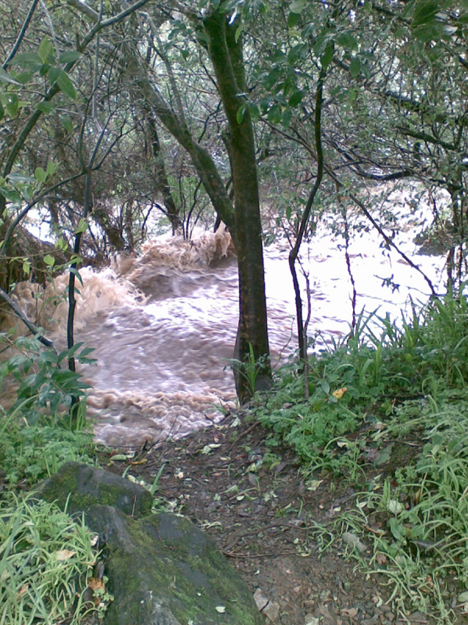 Franklin Local Board urges storm readiness