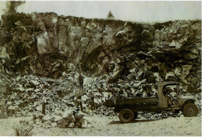 Preserving Tamaki Drive heritage