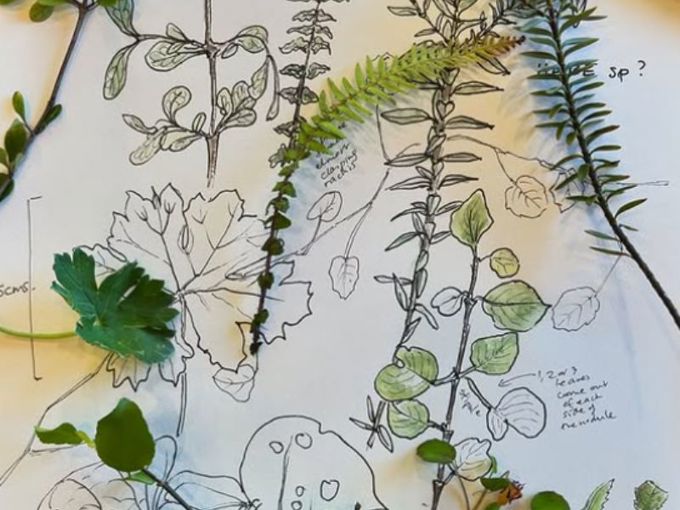 Nature journaling 1200x900_vu1mg3vp.jpg