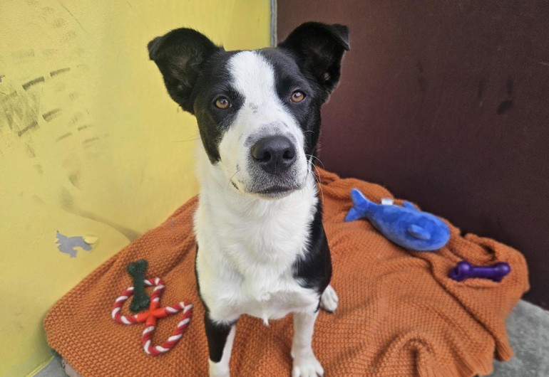 Media 2026 04 02T144541.279