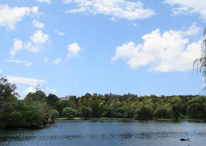 Breathing new life into Western Springs park