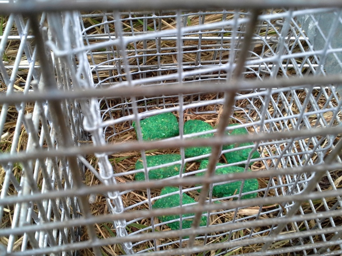 Hunua caution period lifted (2)