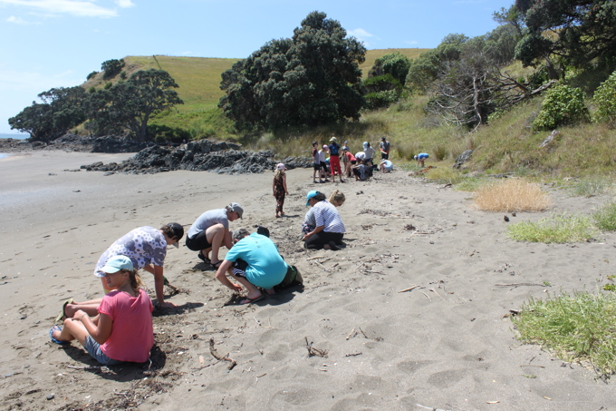 Auckland environmental champions assemble for the future