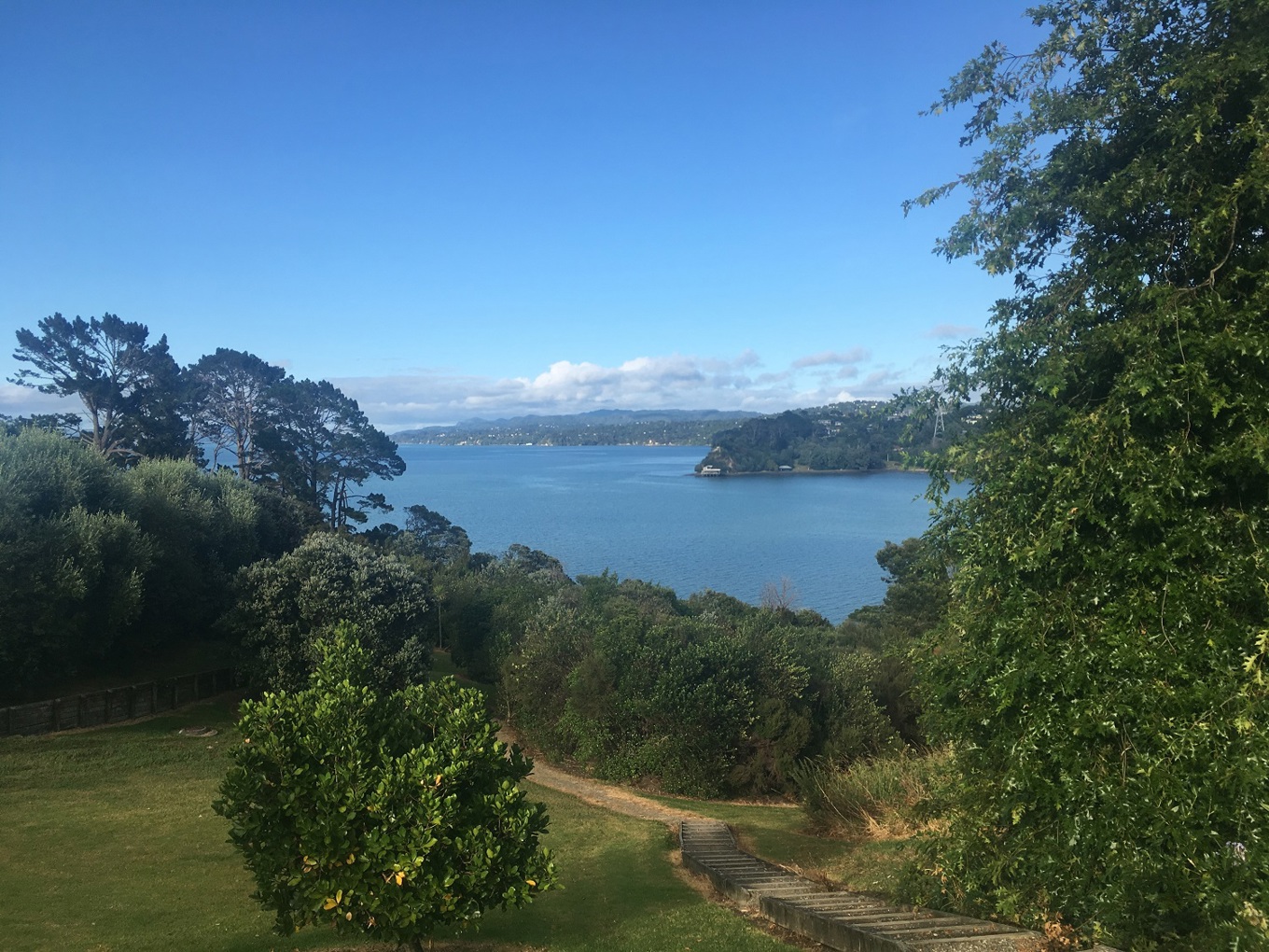 Trail running adventure on the Manukau Harbour coastal trails OurAuckland