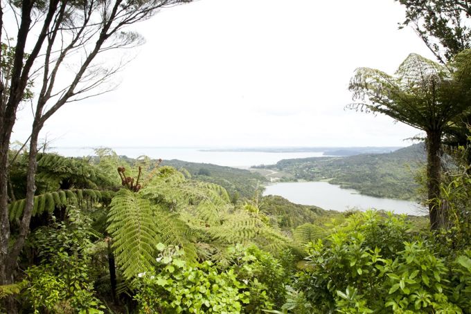 Waitākere Ranges