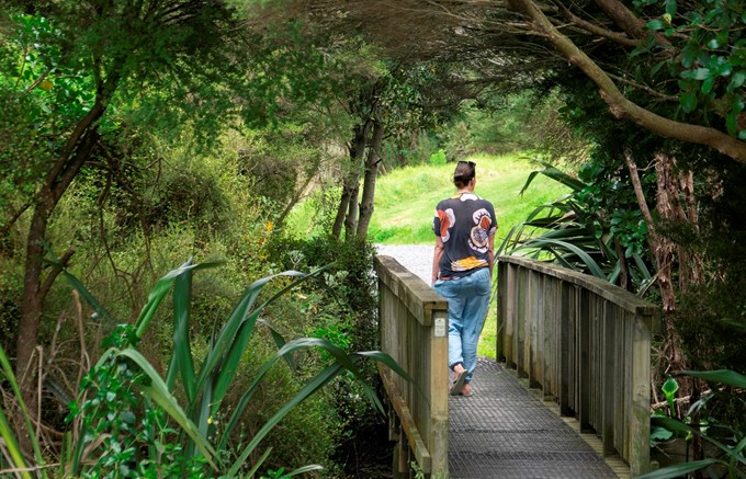 November Gem: Te Atatu Peninsula walkway