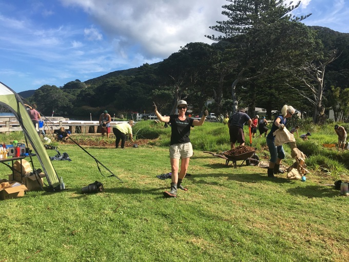 Coordinating Aotea’s ecological success story