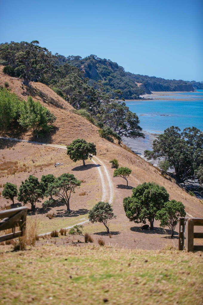 Mahurangi Regional Park 6