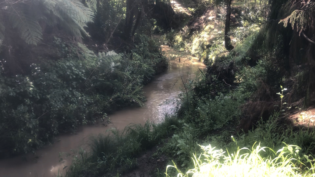 Stream
