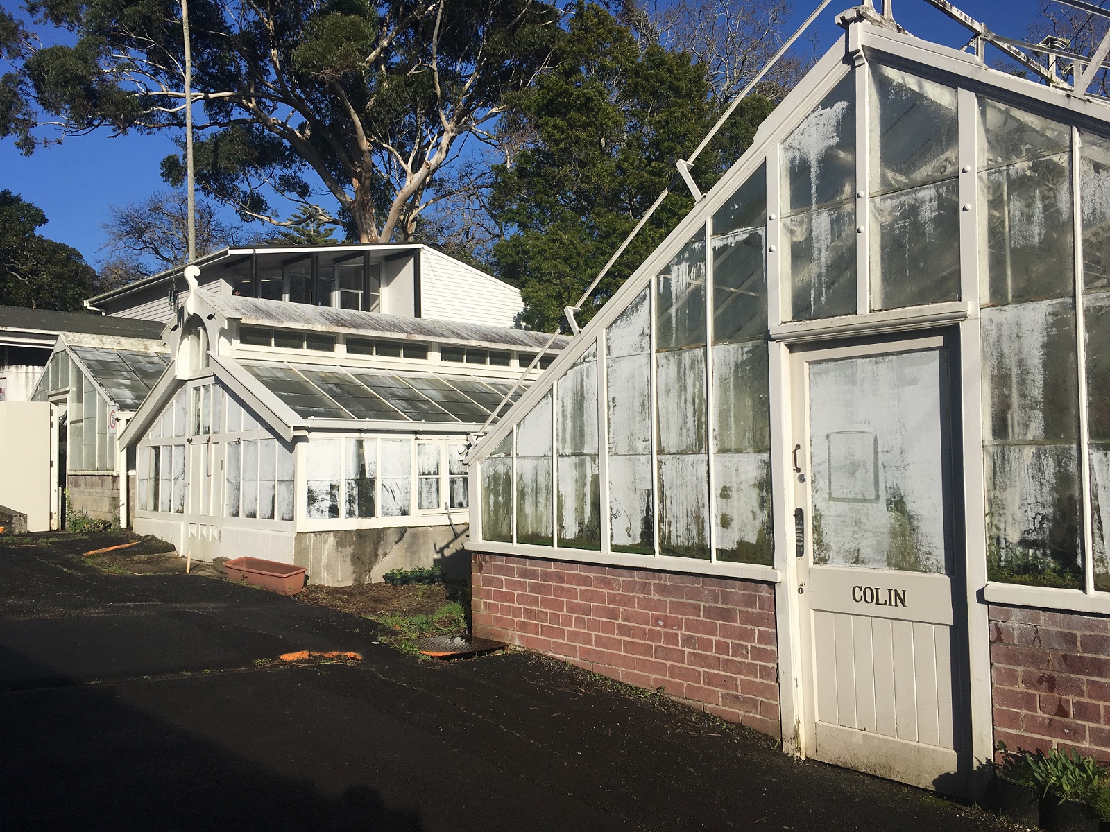 Wintergardens nursery in for modern makeover - OurAuckland