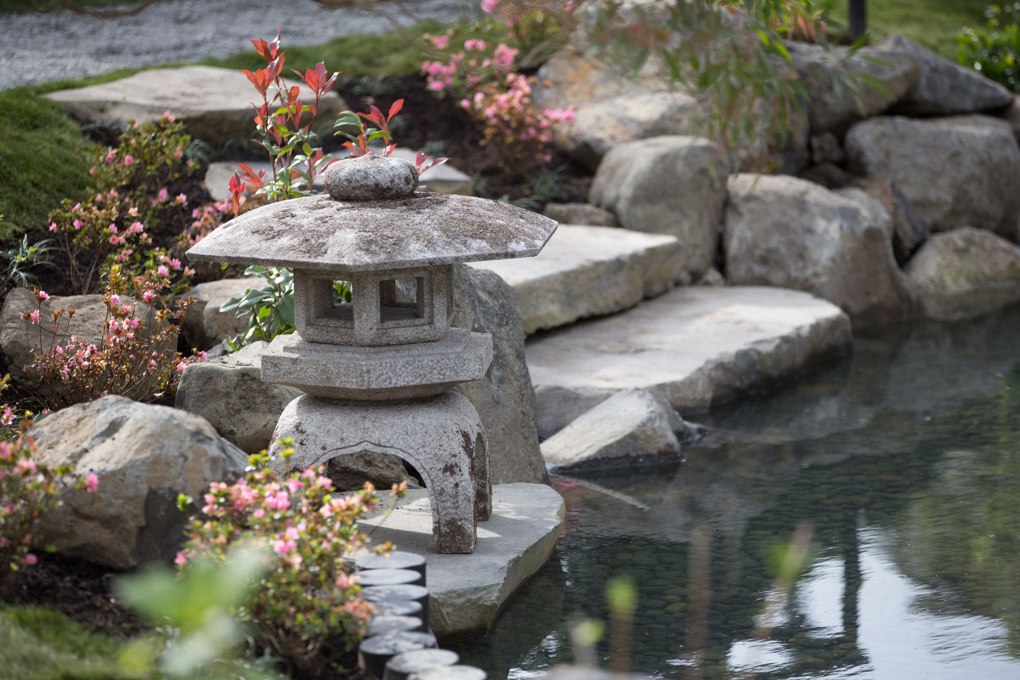 Oasis in Central Auckland blooms again (2)