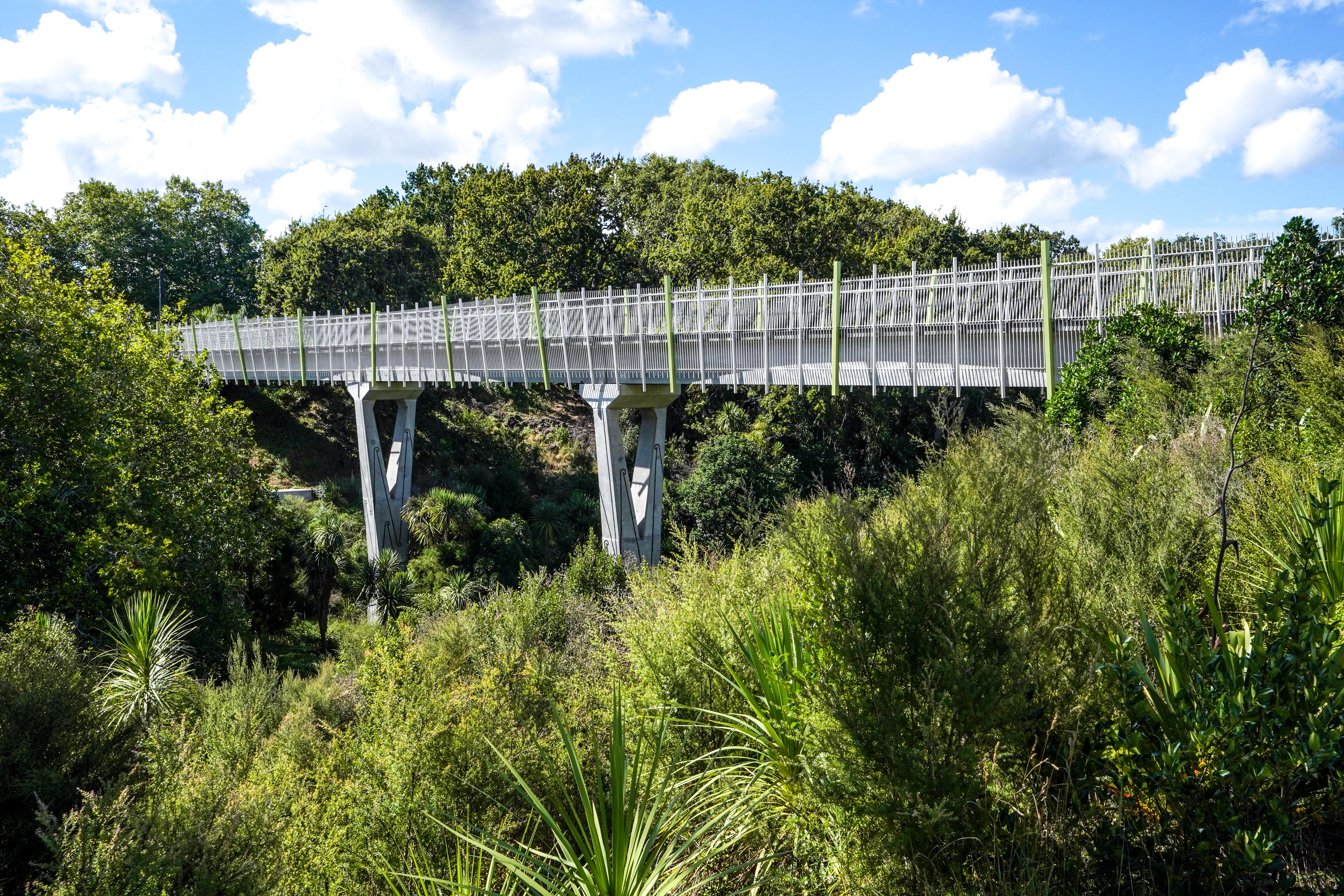 Oakley Creek Esplanade Reserve