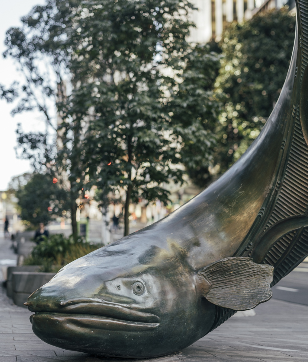 Horotiu Eel Artwork