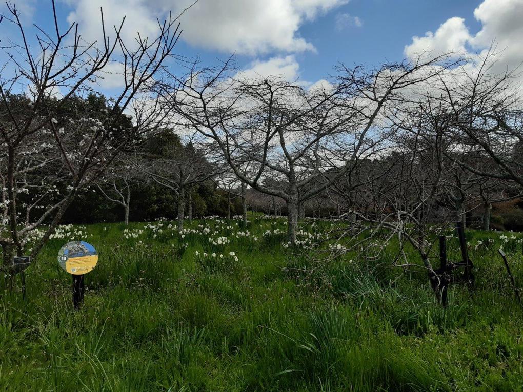 Trail at Auckland Botanic Gardens a finalist in Biosecurity Awards 3