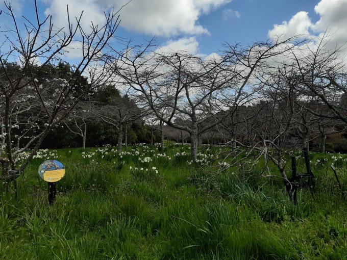 Trail at Auckland Botanic Gardens a finalist in Biosecurity Awards 3