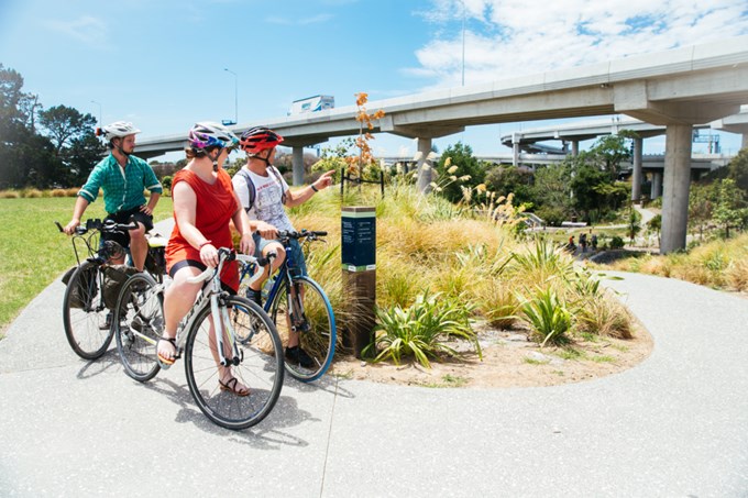 Explore Auckland by bike this summer