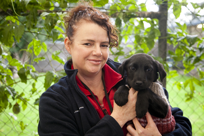 Ferraris and fur-babies warm hearts this Valentine’s Day (2)