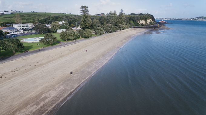 Businesses pitch in to clean up Orakei beaches