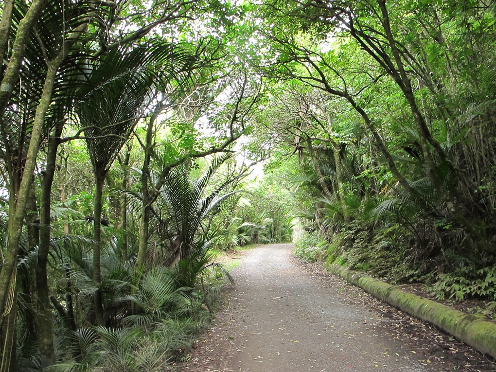 Seven local wanders (2)