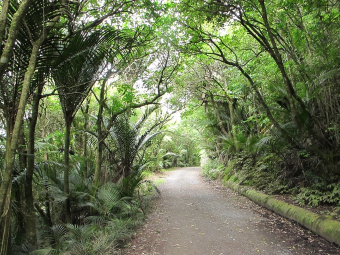 Seven local wanders (2)