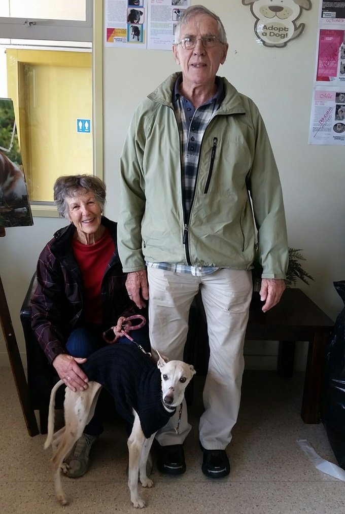 Happy ending for lost dog Chynna 2