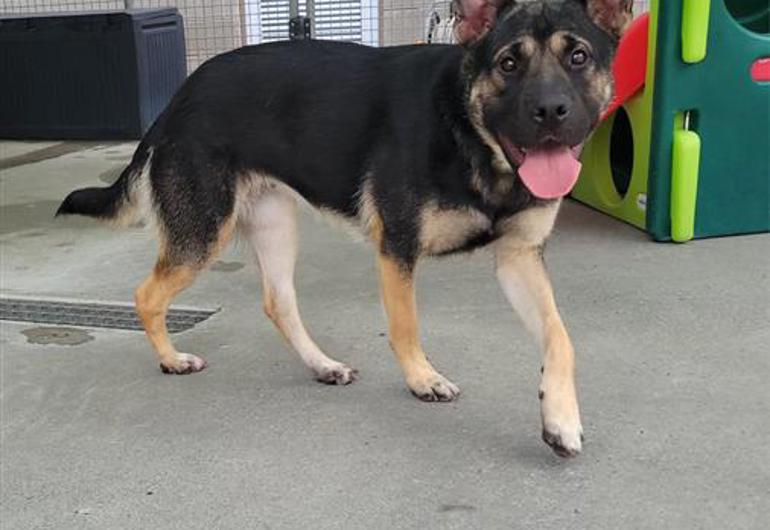 8893D7d5 6Ca8 4226 8F07 3C9e1f312607