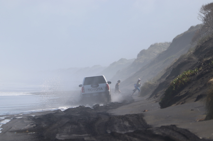 Muriwai Beach image 2
