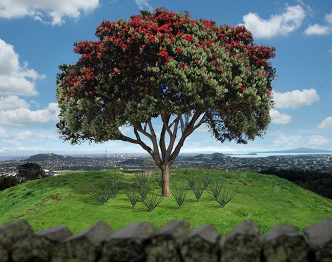 Maungakiekie/One Tree Hill planting symbol of new Auckland 6