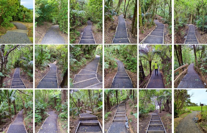 Point View Track Upgraded