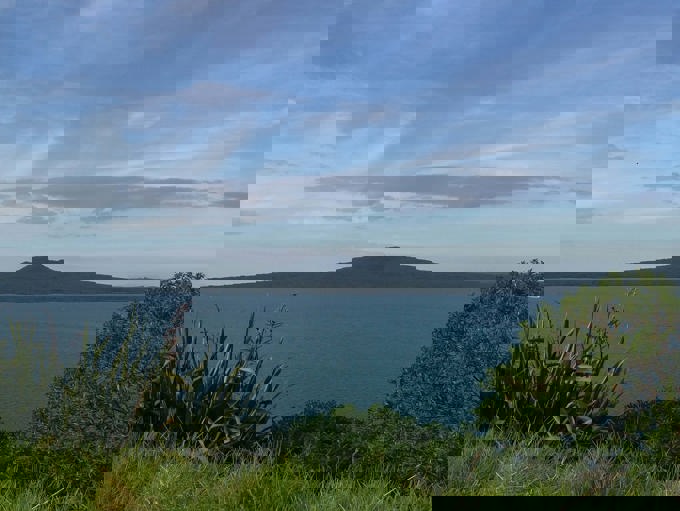 New Kiwi Guardian sites for the Auckland region (1)