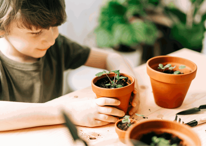 Untitled design (3)_5zecw1hj.png