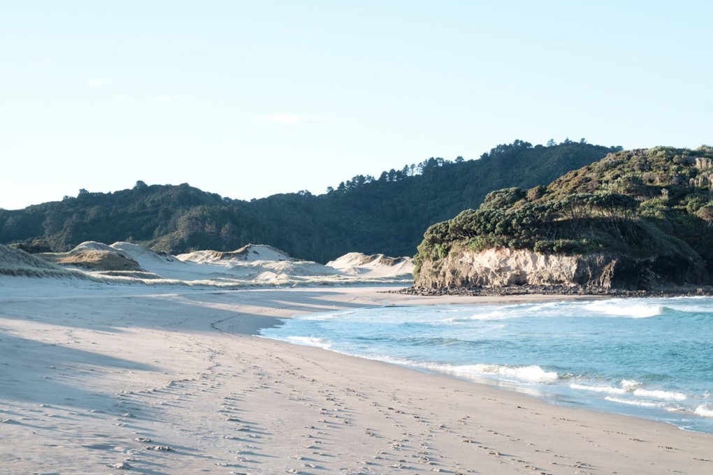 Auckland Shoreline