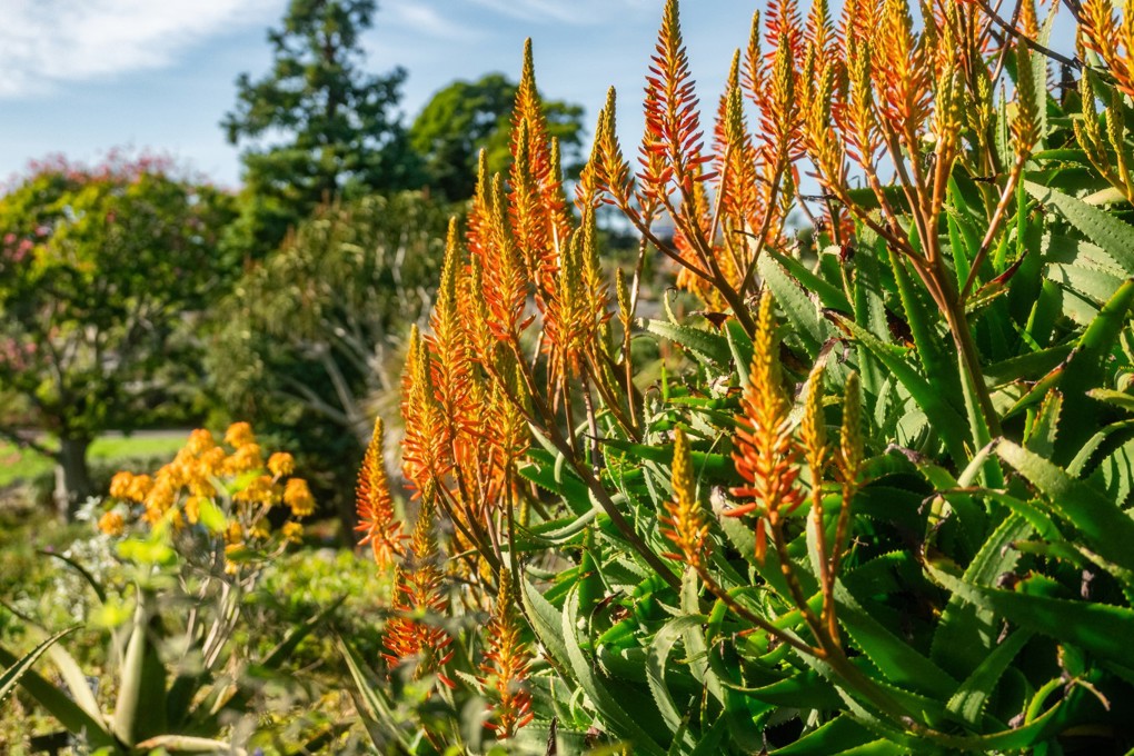 Botanic Gardens Image 4