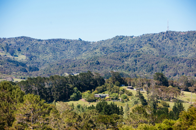 Waitakere Ranges residents urged to find out more about septic tank changes