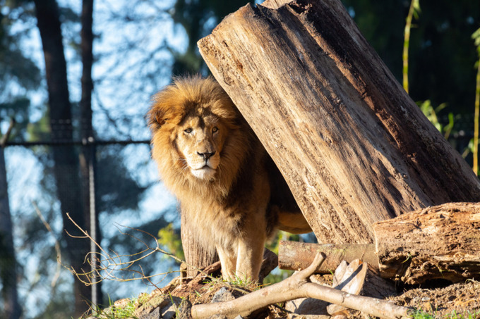 Summer story image (5)