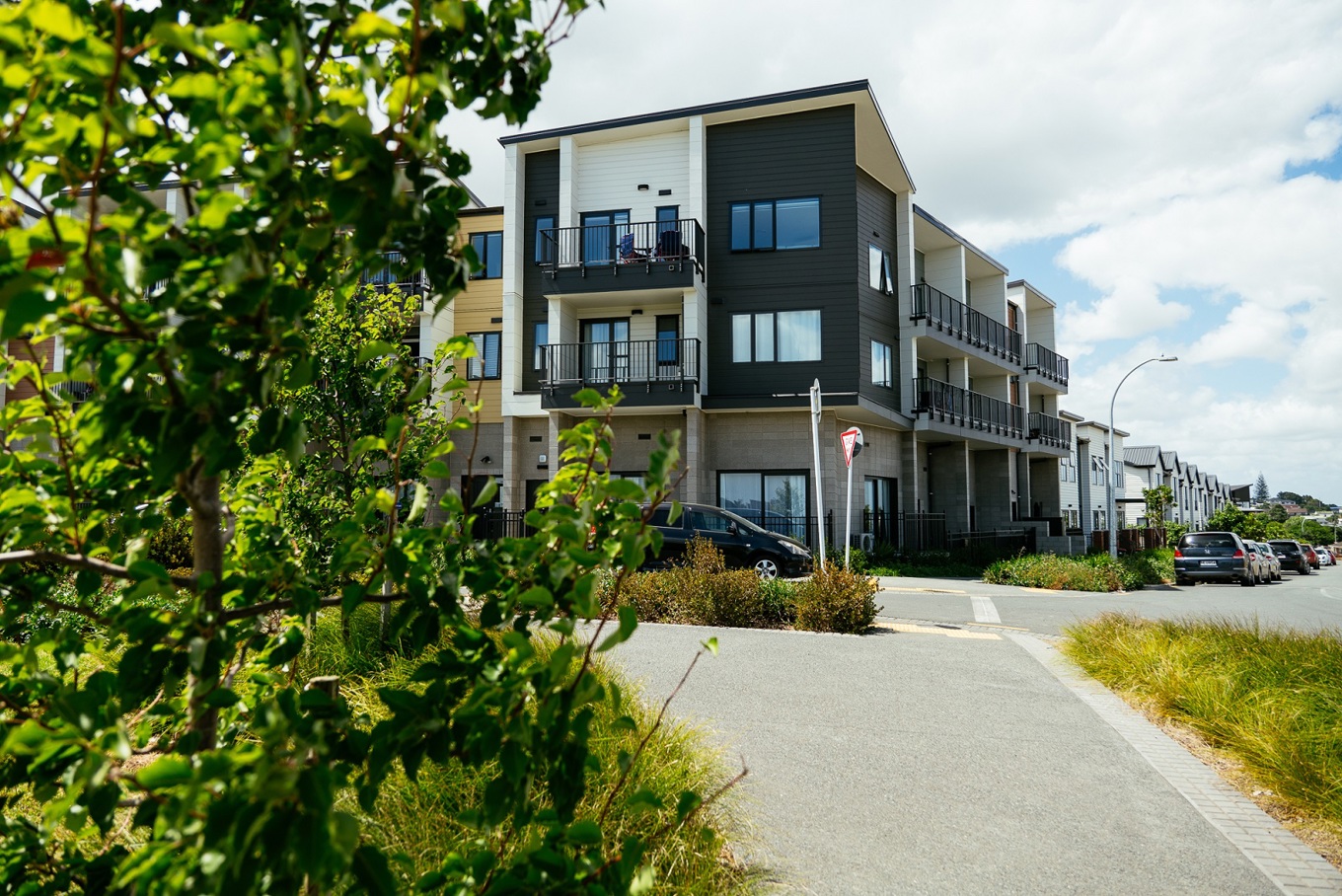 10 things you need to know about new housing rules in Auckland